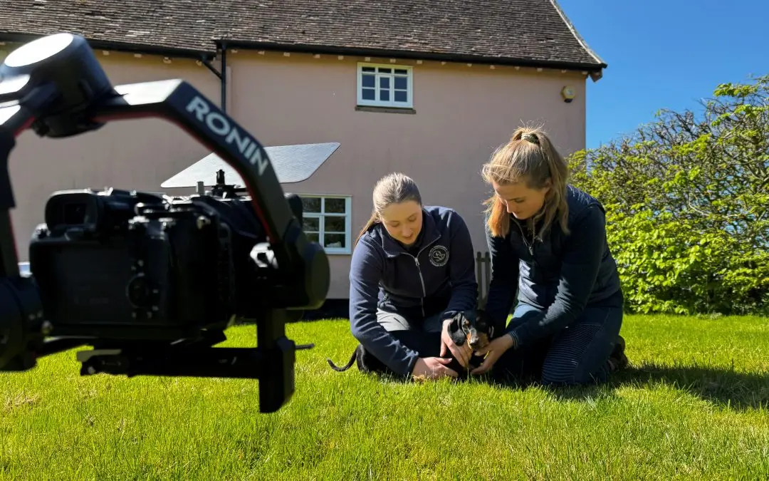 Creative Video Production | What Style Should I Choose For My Business?