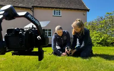 Creative Video Production | What Style Should I Choose For My Business?